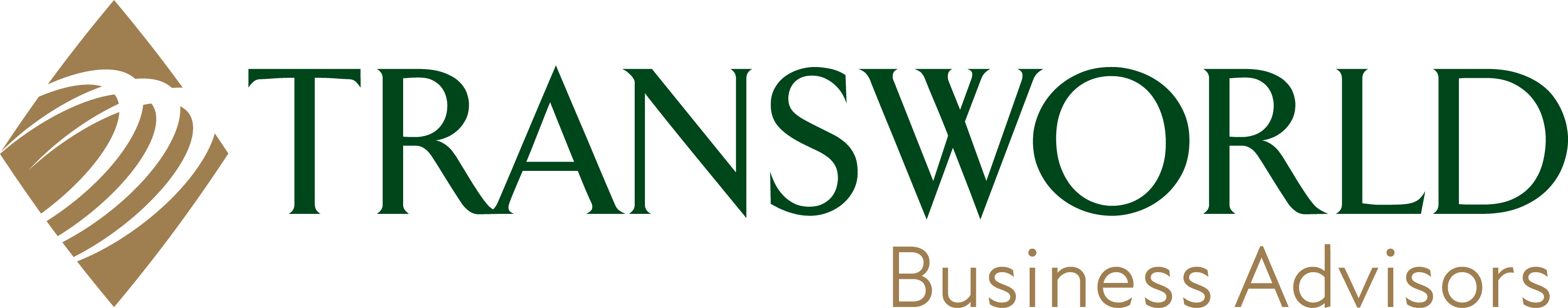 Logo of Transworld Business Advisors with text in green and gold, featuring a stylized globe on the left.